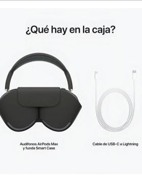 Apple AirPods Max 1.1 - Gris espacial