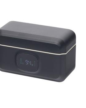 MICROFONOS TIPO C 2.4G X2 – F31-TC-2